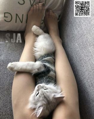 柔情似水免费阅读全文_BD高清免费观看
